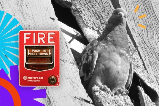 Image for the article "Fire in the server room - why do you need independent backup"