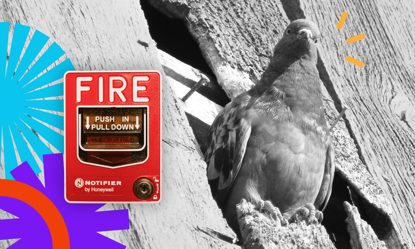 Image for the article "Fire in the server room - why do you need independent backup"
