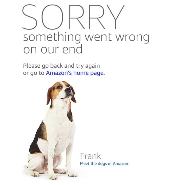 Amazon Something Went Wrong page