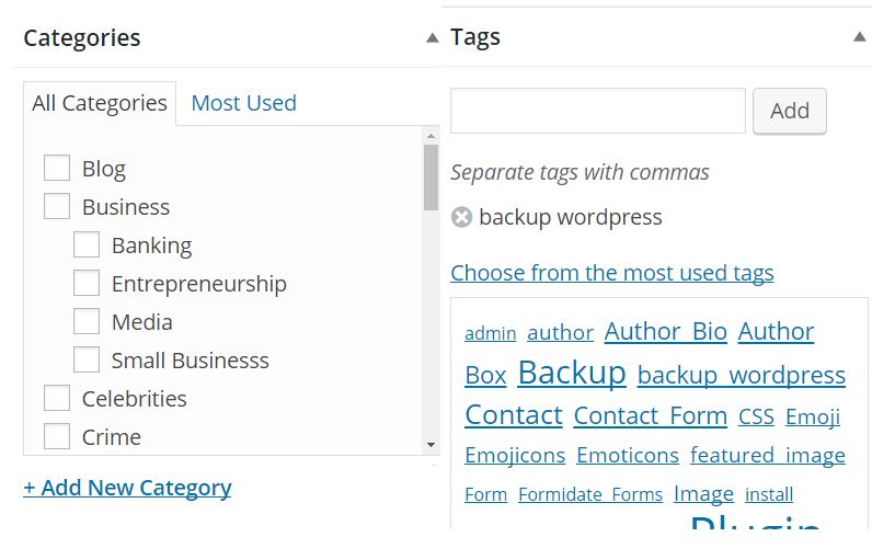 Categories and tags in WordPress