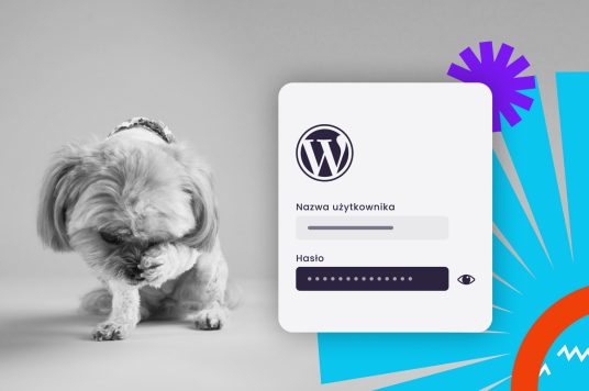 Login hiding in WordPress