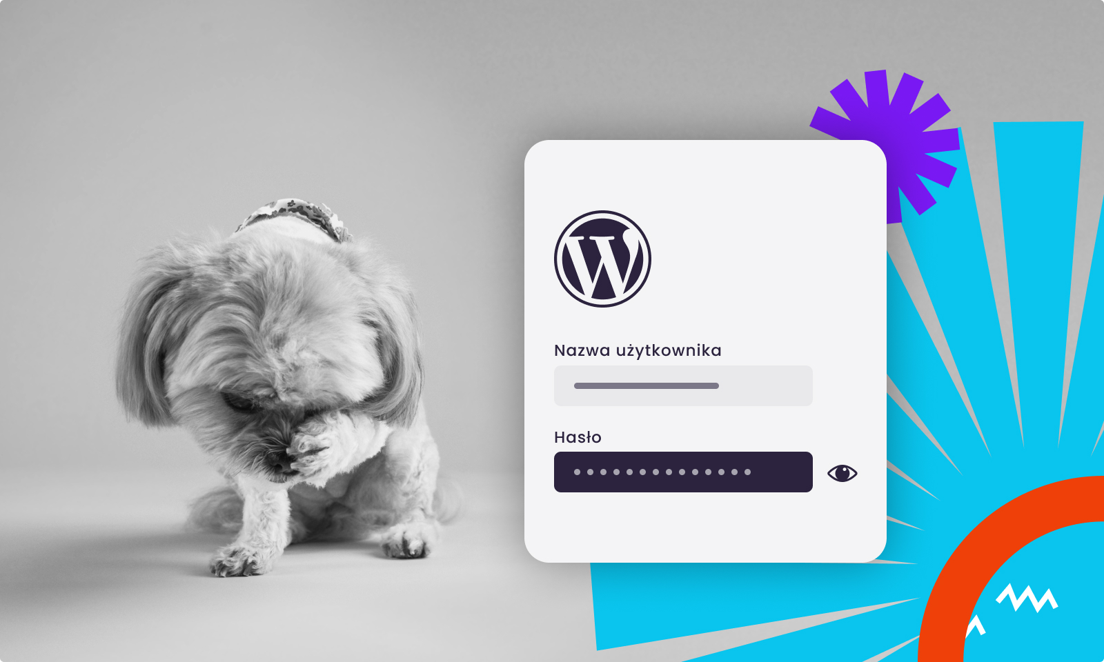 Login hiding in WordPress