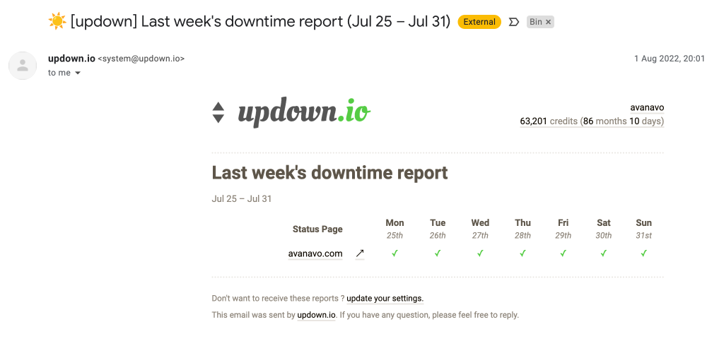 Example of uptime monitoring report