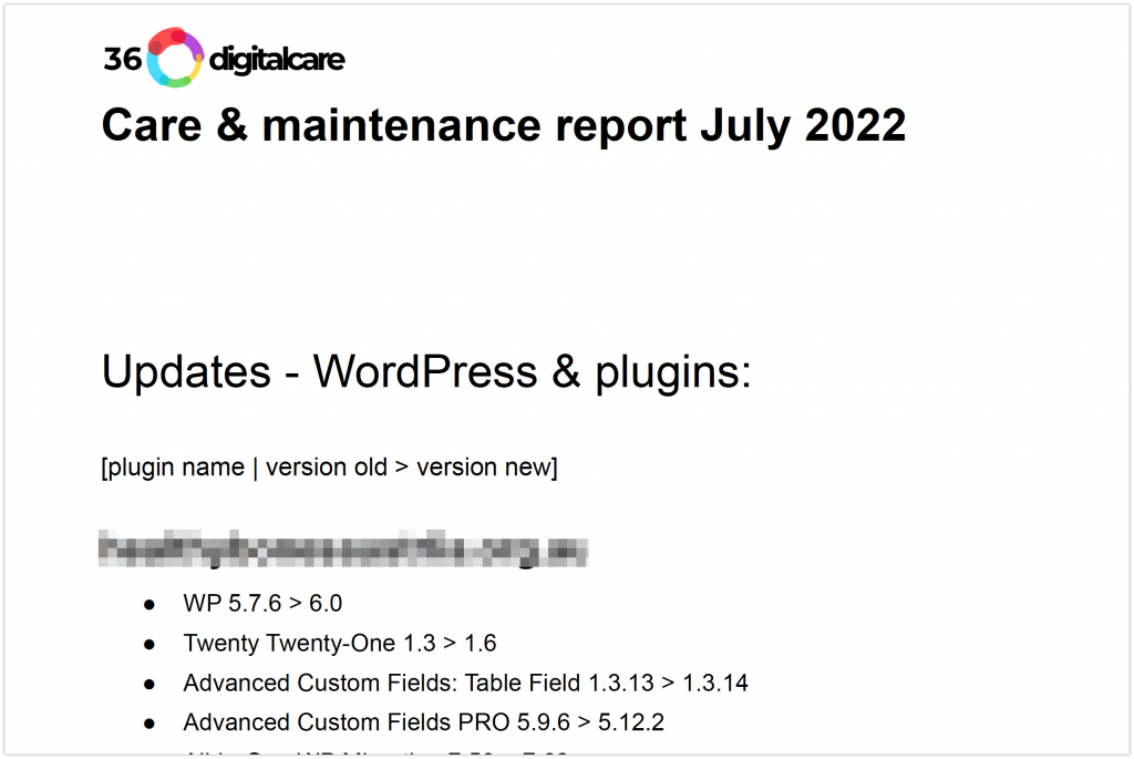 Example of WordPress care plan Standard plugin updates report. 