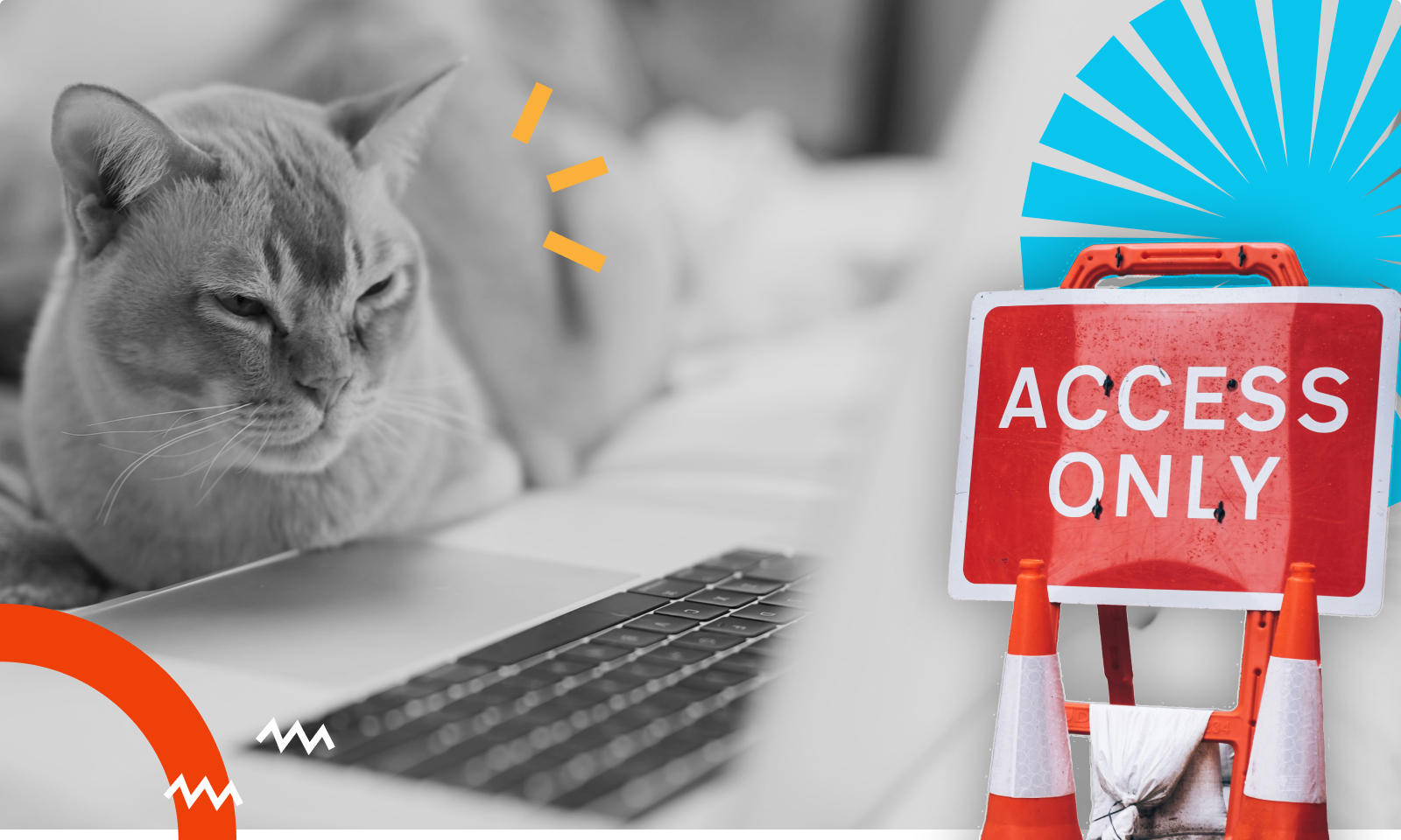 WordPress Accessibility Day 2022