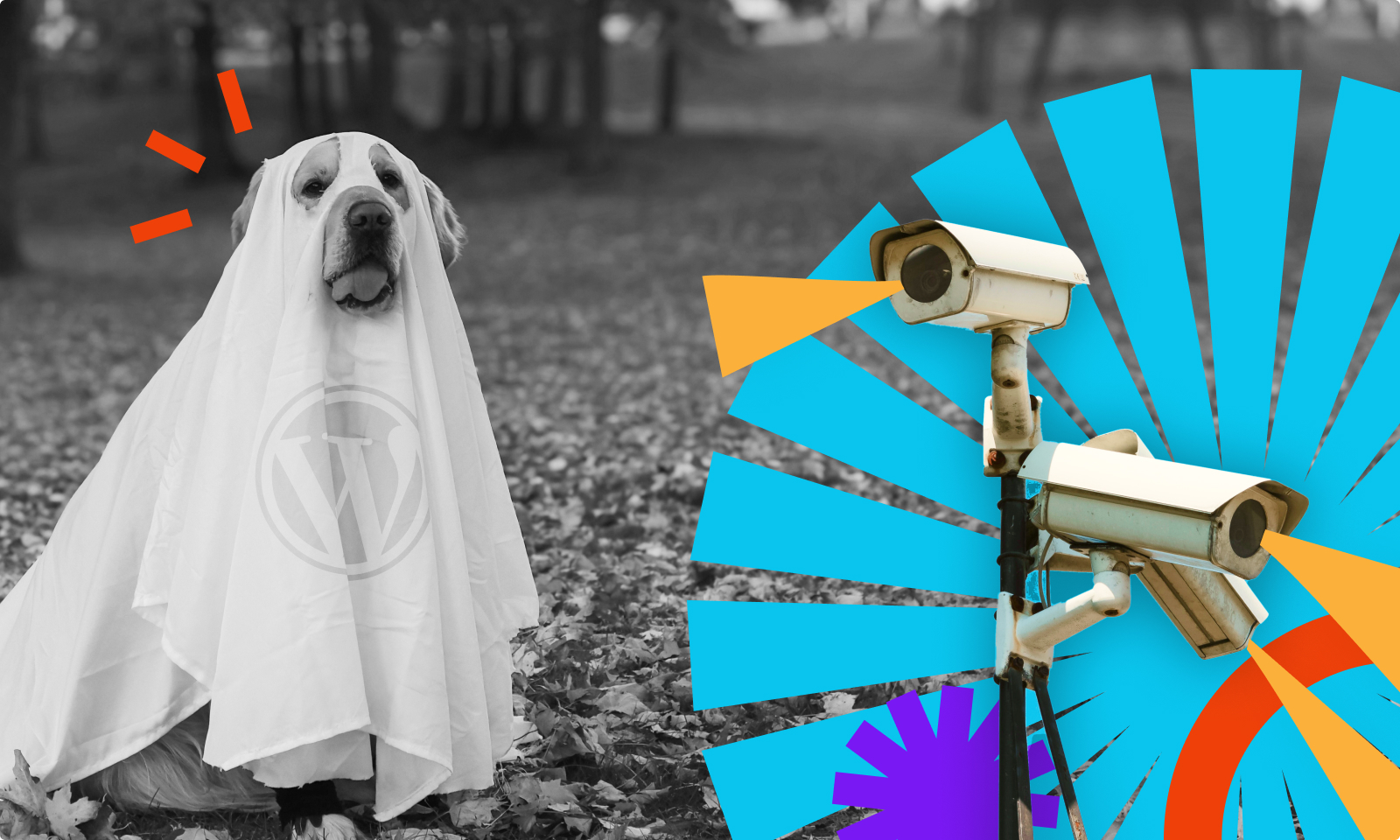 WordPress security myths, a dog dressed as a ghost
