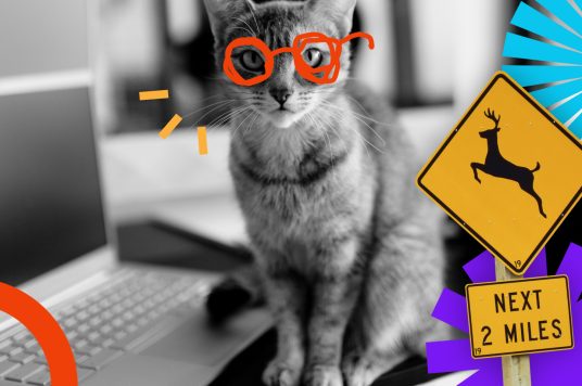 Meta description in the website HTML code