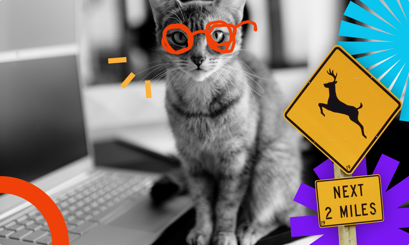 Meta description in the website HTML code