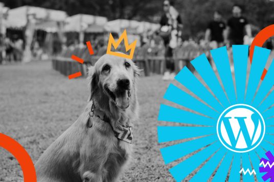 The WordPress logo no the map of the World. WordPress events schedule 2023